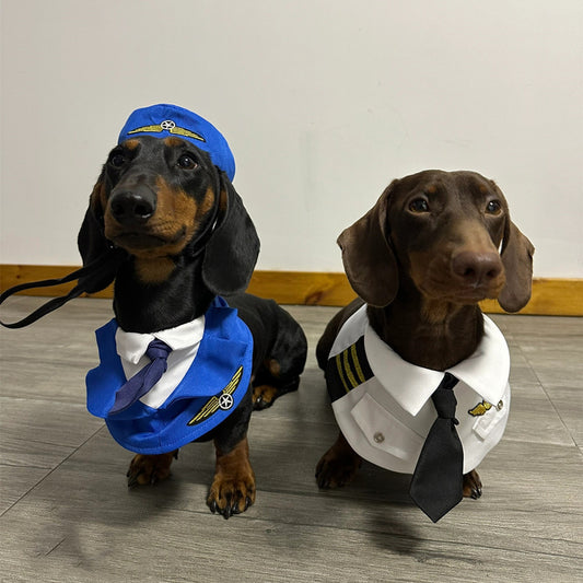 Dachshund Dog Funny Clothes