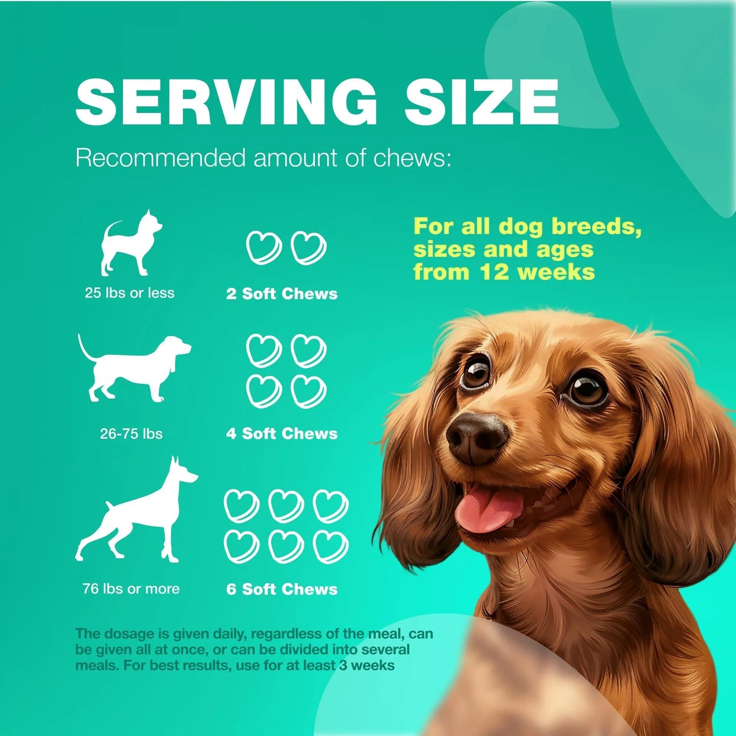 Probiotics For Dogs Support Gut Health Immunity Yeast Balance Itchy Skin Allergies Probiotics And Digestive Enzymes 180 Probiotic Chews For Dogs