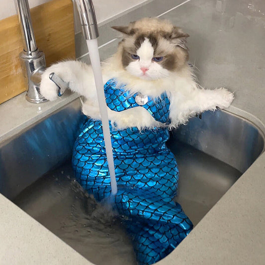 Mermaid Tail Decoration Cats Small And Medium Sized Dog Clothes