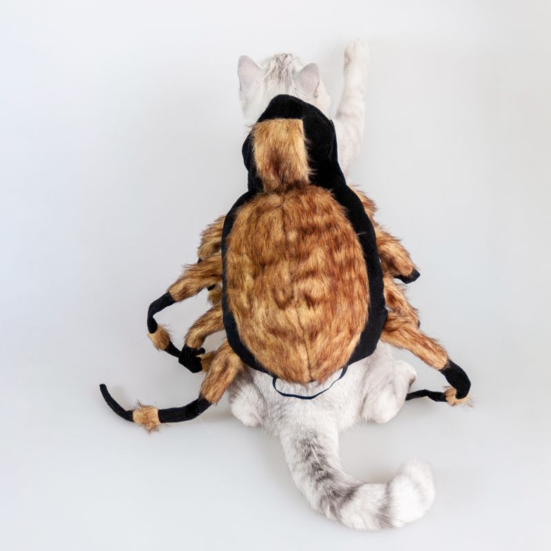 Pet Spider Costumes *Free shipping