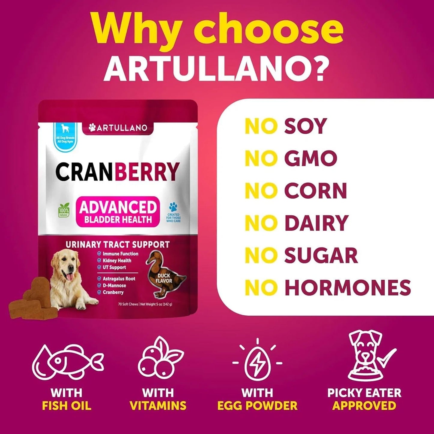 Dog UTI Treatment Cranberry Supplement Bladder Control Urinary Tract Infection Medicine Treats 70 Soft Chews