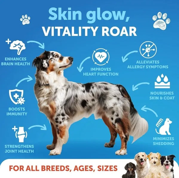 Salmon Oil For Dogs 3 For Dogs 8 FL OZ Wild Alaskan Salmon Fish Oil