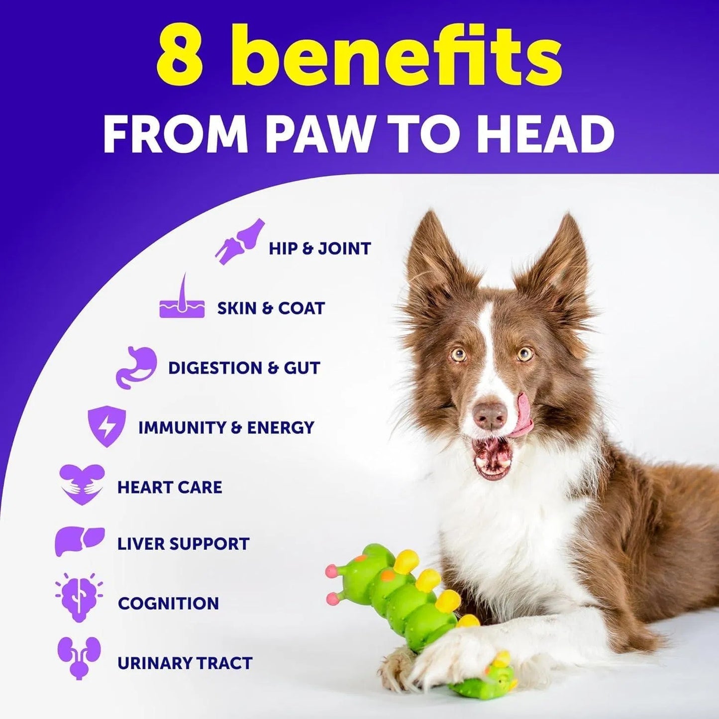 Dog Multivitamin Chewable With Glucosamine 20 In 1 Dog Vitamins And Supplements Senior & Puppy Joint Support Health Immunity Mobility Gut Skin 120 Chews