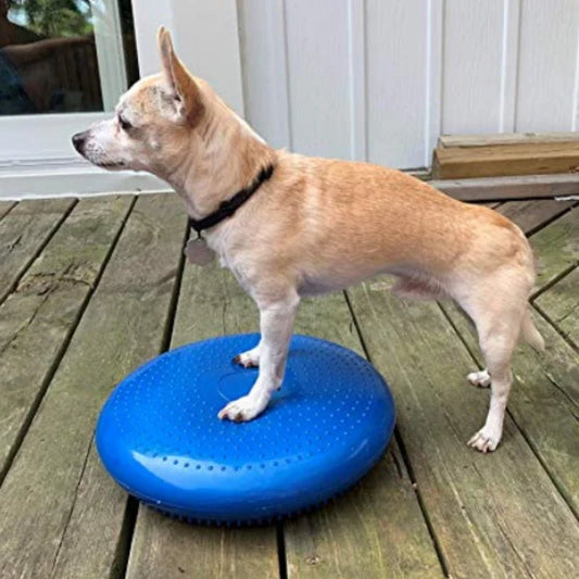 Dogs Training Fitness Sports Muscle Atrophy Dog Agility Toy *Free shipping
