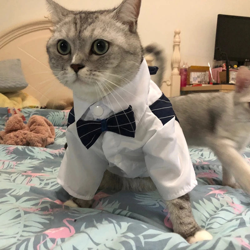 Handsome Cat Dog Suit Clothing for Cats Small Dogs Wedding Birthday *Free Shipping