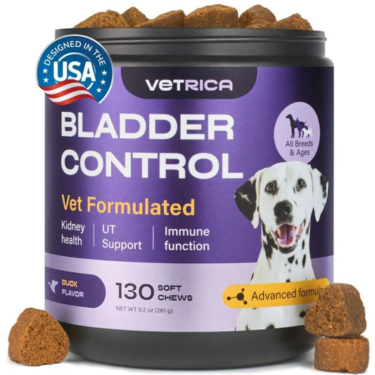 Dog UTI Cranberry Chews Supplement For Urinary Tract Bladder & Kidney Health Soft Treats