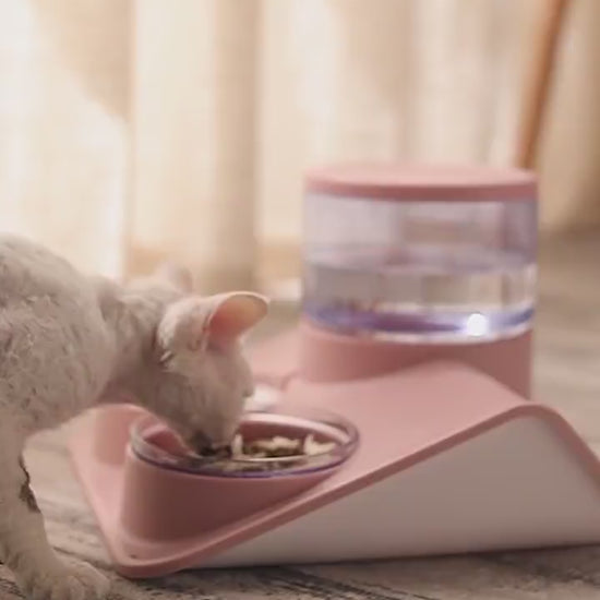 Automatic Feeder For Pet Drinking Water Supplies